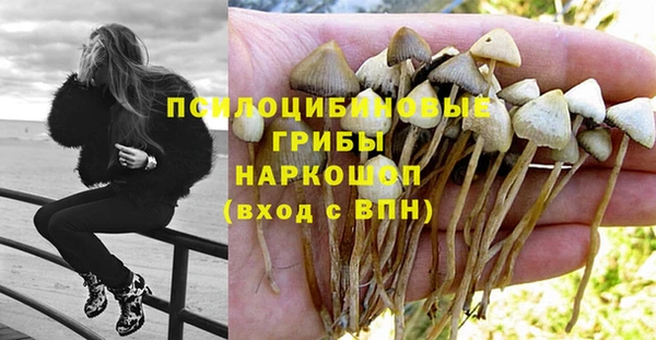 синтетический гашиш Алексин