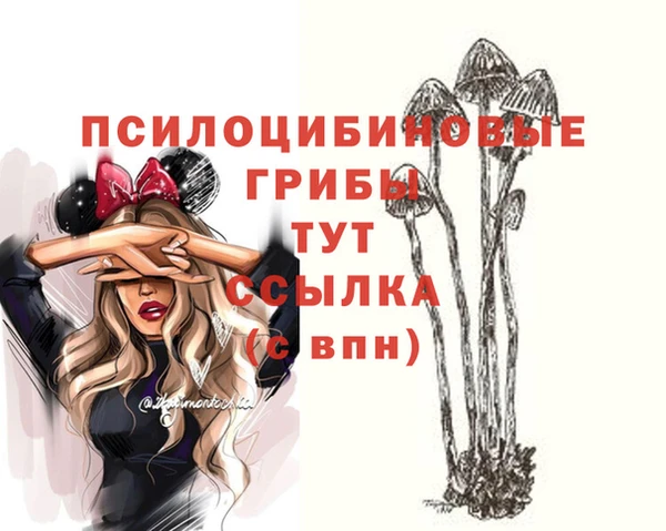 синтетический гашиш Алексин