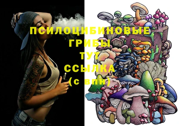 синтетический гашиш Алексин