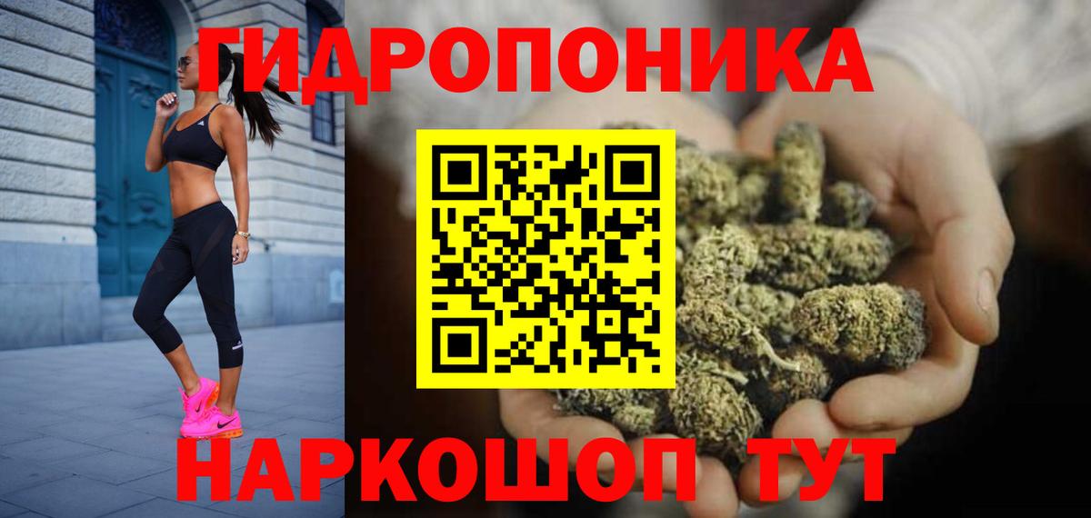 Марихуана гибрид  Канабис семена  Каннабис THC 21%  Конопля Bruce Banner  Борзя  Вход с VPN 